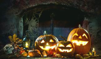 Halloween : citrouille ou potiron ?